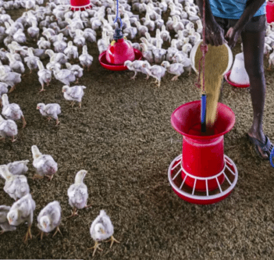 Screen Shot 2017 10 23 at 5.28.13 PM