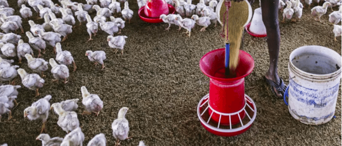 Screen Shot 2017 10 23 at 5.28.13 PM