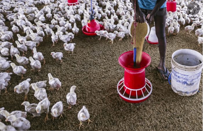 Screen Shot 2017 10 23 at 5.28.13 PM